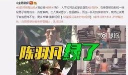 湛江出轨爆料事件视频播放,真相与舆论的碰撞