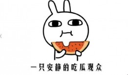 抖音快手网红吃瓜,抖音快手瓜王争霸战